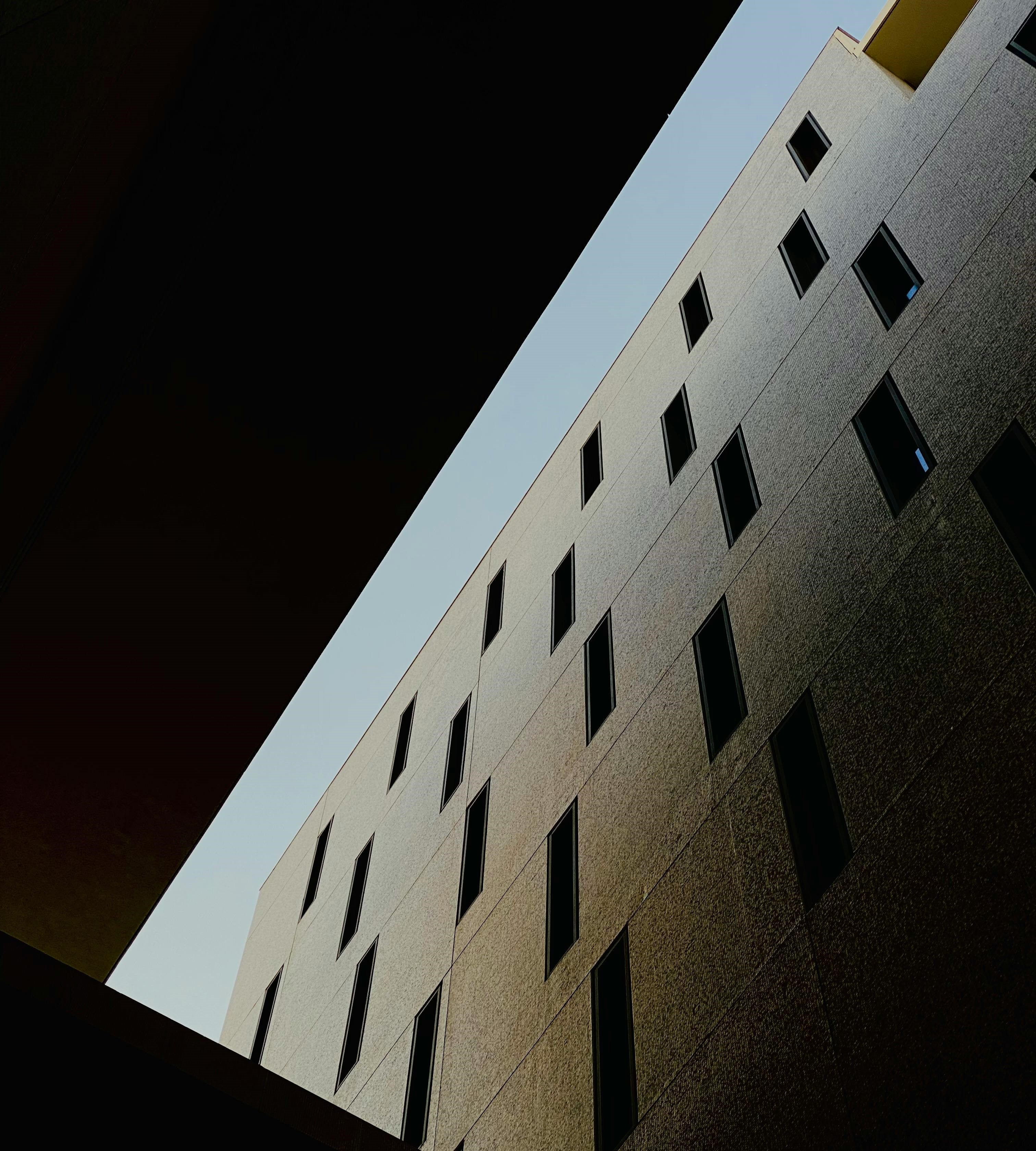 Descripción de la imagen